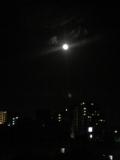 100527_203132.jpg